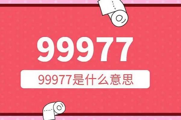 99977是什么意思-代表什么