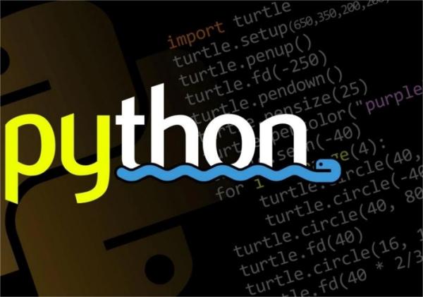 python是什么意思